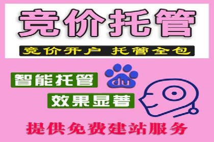 案例解析：SEM投放效果显著提升